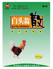 白頭翁散